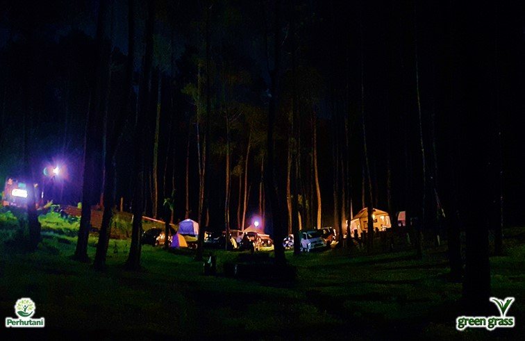 Green Grass Cikole