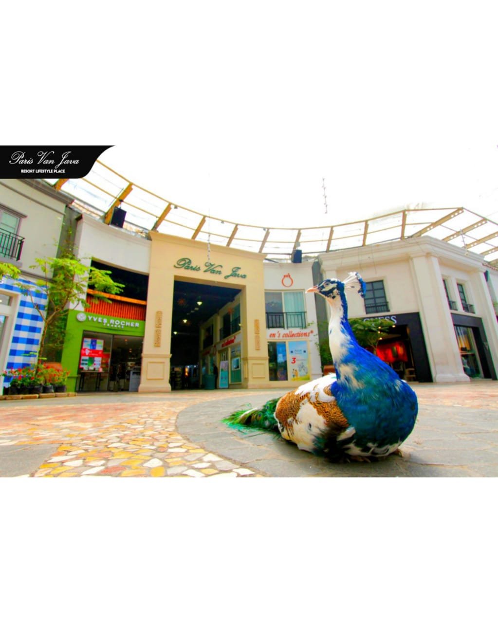 Paris Van Java Resort Lifestyle Place