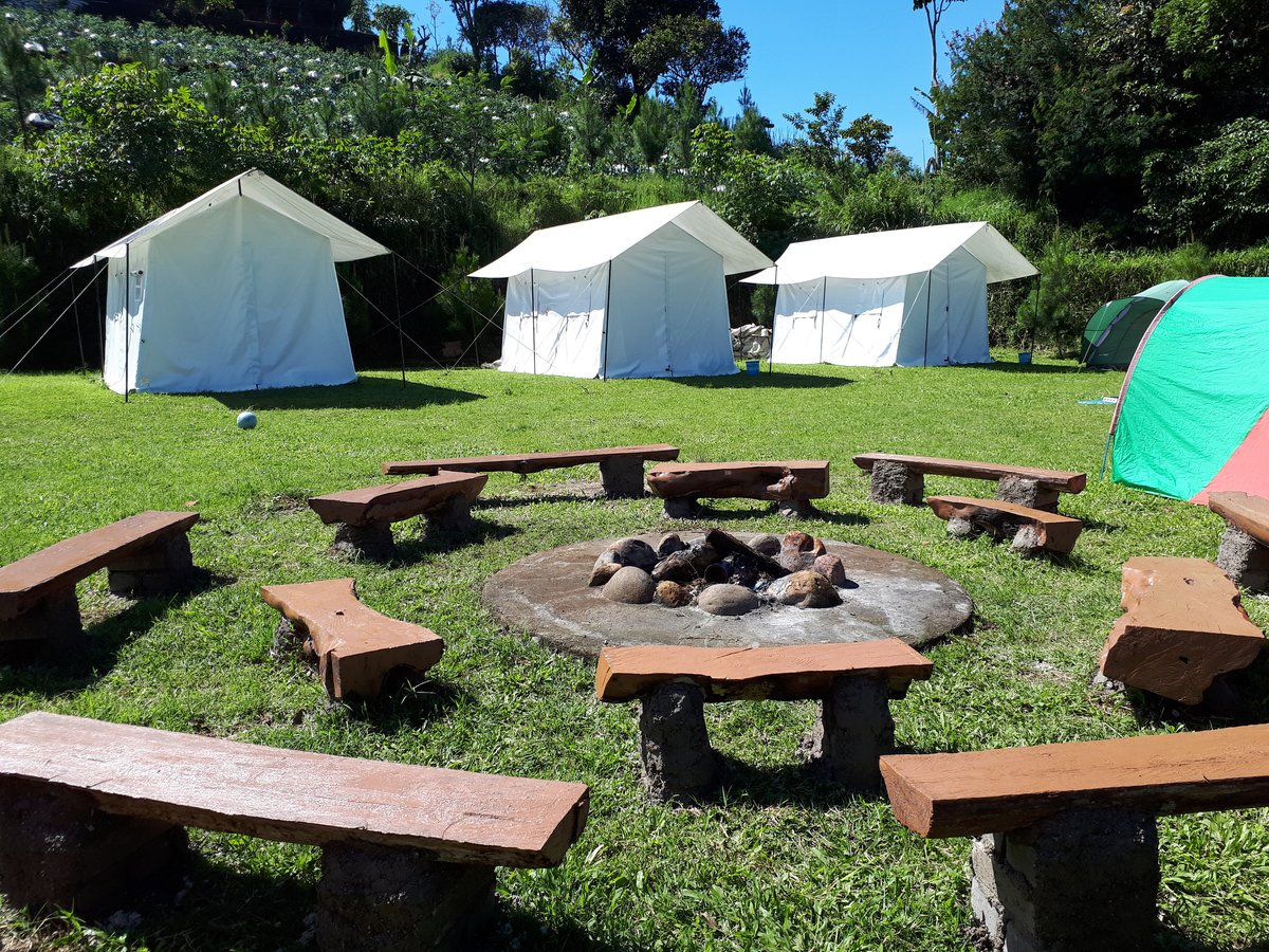 Pine Forest Camp