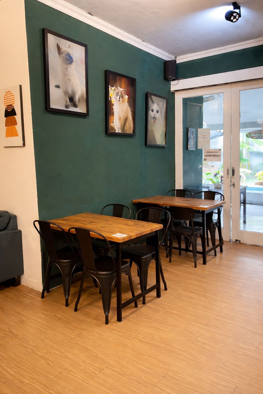 Circuloo Coffee & Cat