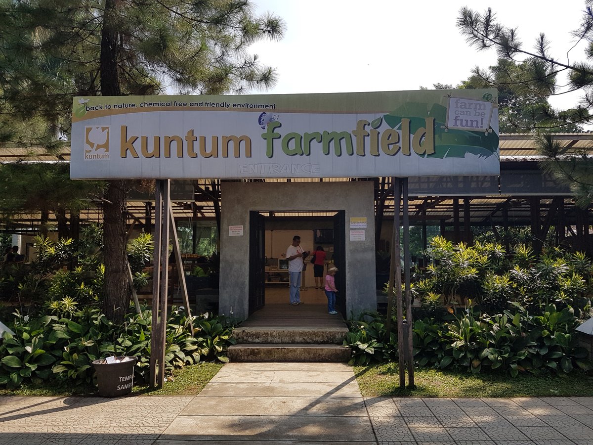 Kuntum Farmfield