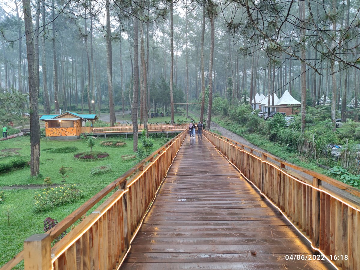 KEBON PINES