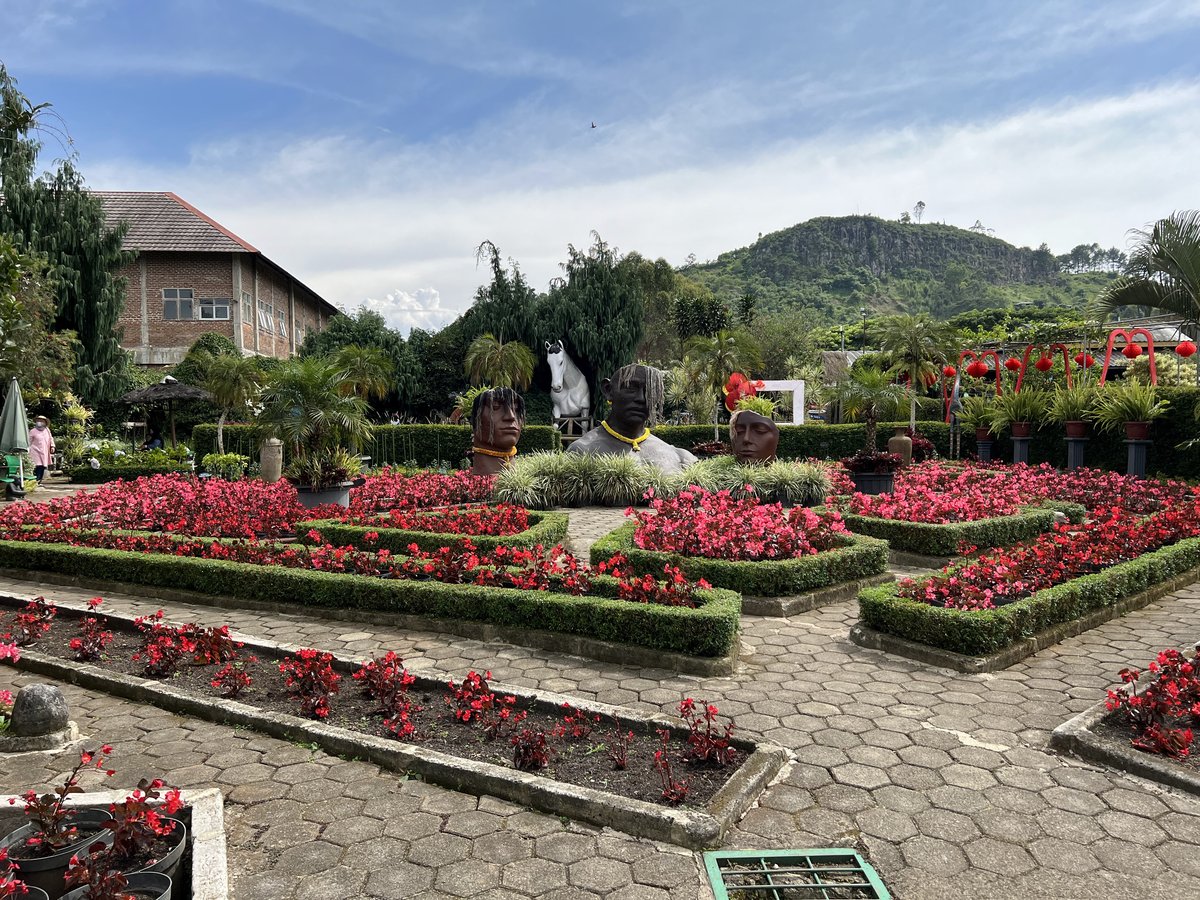 Kebun Begonia Lembang