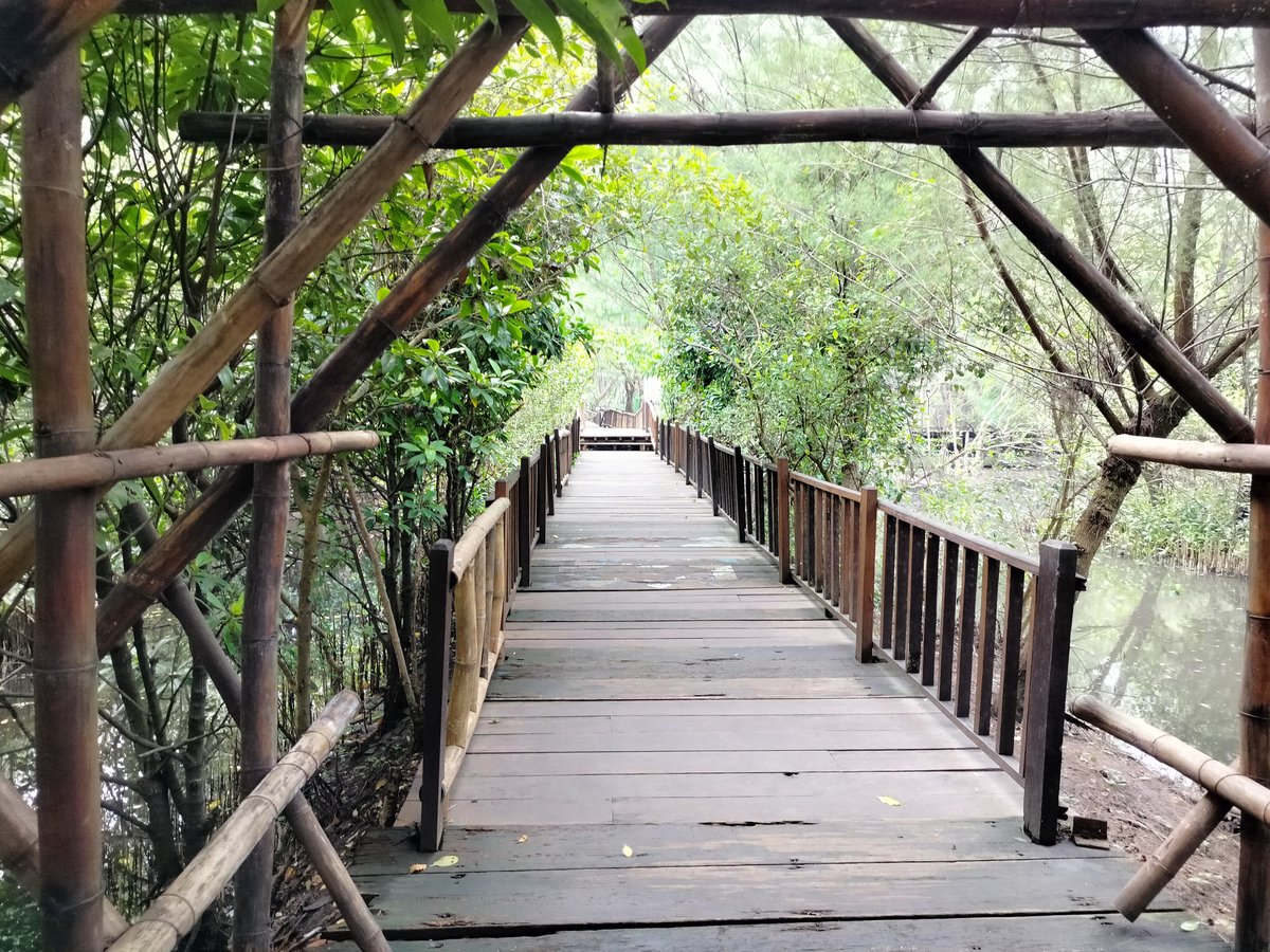Ekowisata Mangrove Wonorejo