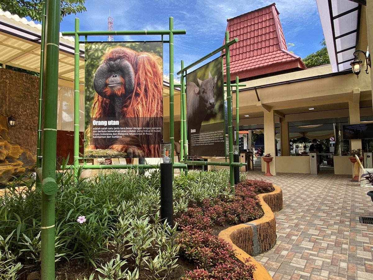 Kebun Binatang Surabaya / Surabaya Zoo