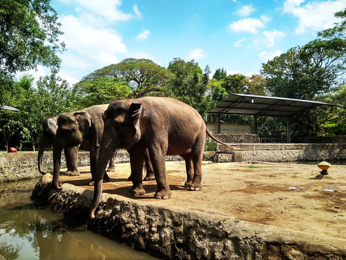 Gembira Loka Zoo (Pintu masuk Timur)