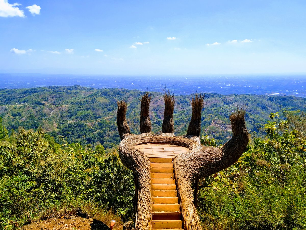 Hutan Pinus Pengger