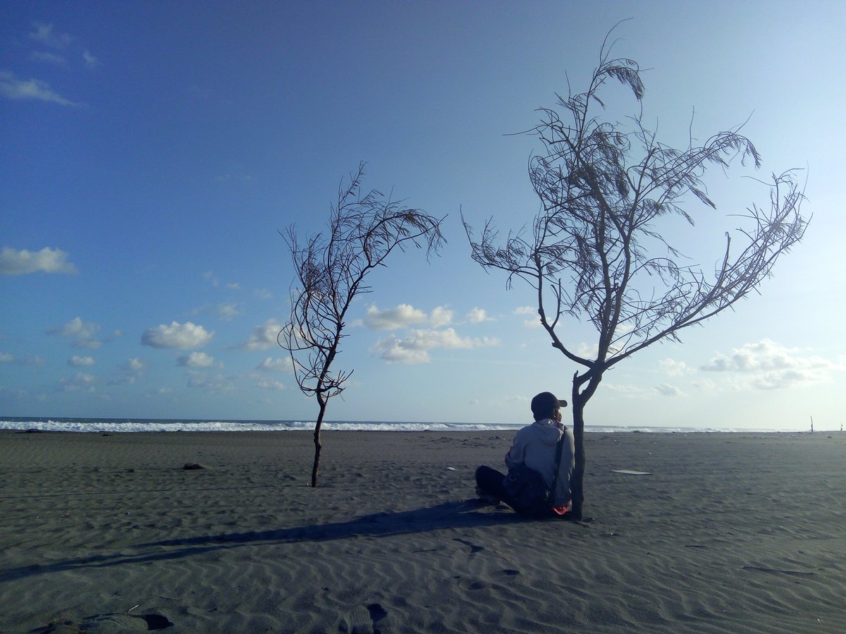 Pantai Cemara Sewu Bantul Yogyakarta